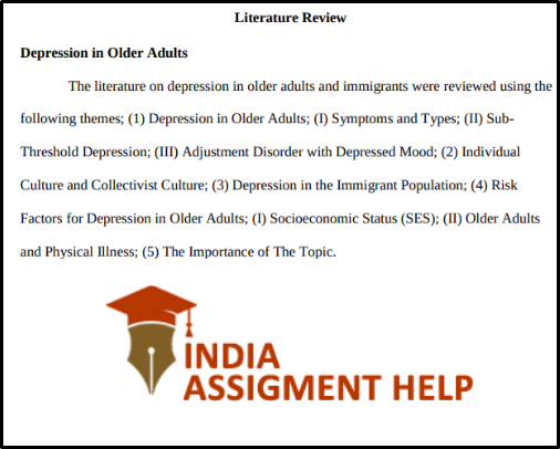 Social Work Literature Review