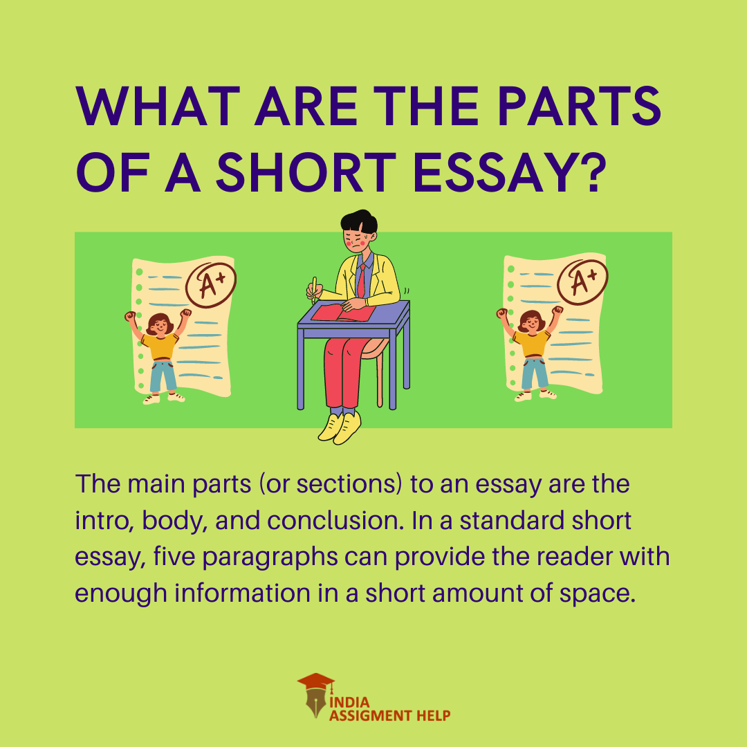 Beginners Guide For Writing A Short Essay beginners-guide-for-writing-a-short-essay