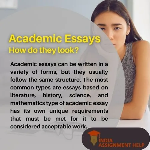 Academic-essay-20230202091817621359344.webp