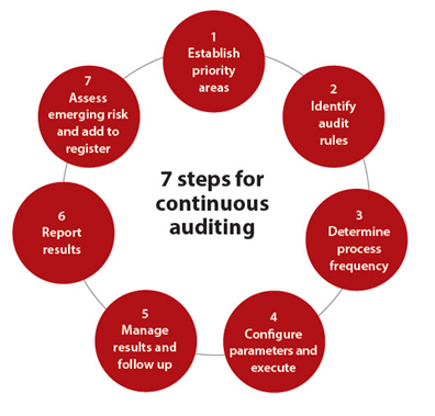 Auditing Assignment Help in India