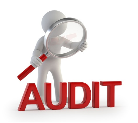 Auditing Assignment Experts in India
