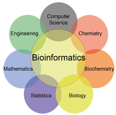 Bioinfomatics Assignment Help in India