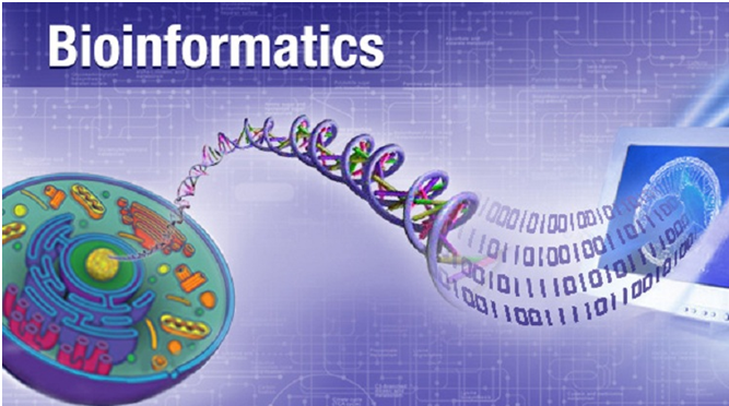 Bioinfomatics Assignment Experts Help in India
