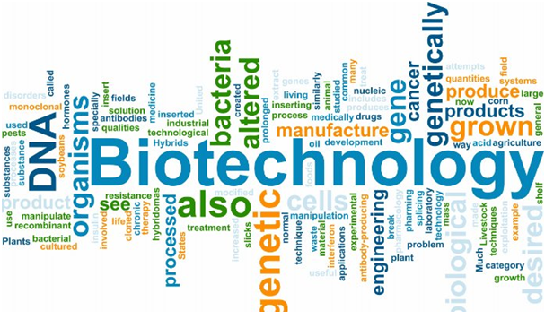 Biotechnology Assignment Experts in India