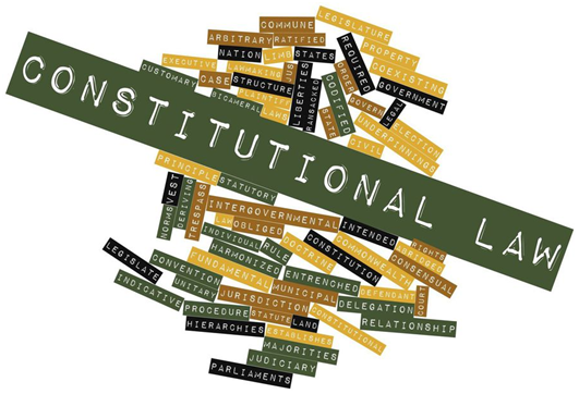 Constitutional Law Experts in India