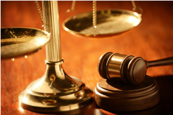 Constitutional Law Assignment in India