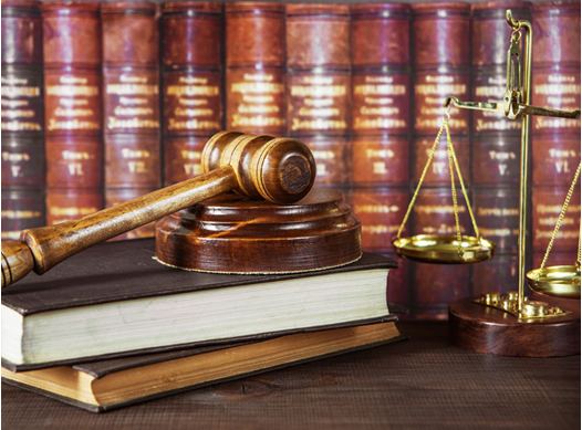 Criminal Law Assignment Help in India