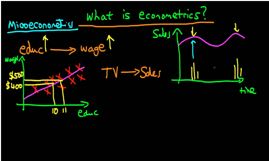 Econometric Assignment Experts in India
