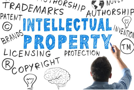 Intellectual Property Law Assignment Writing Experts
