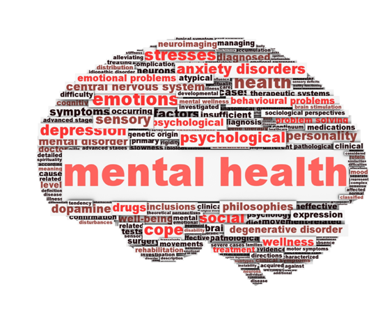 Mental Health Nursing Assignment Help in India