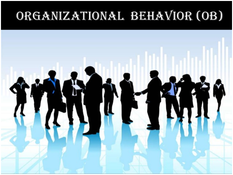 Organizational Behavior Assignment Help in India
