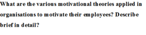 Motivational Theories assignment sample question