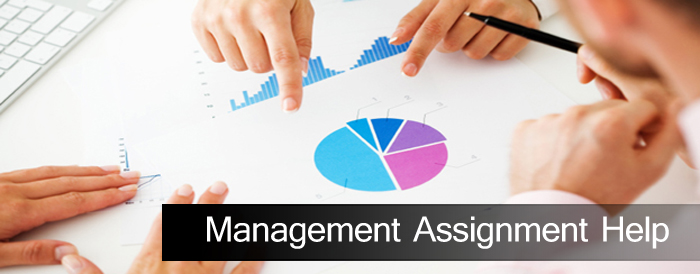 The Ultimate Management Assignment Help Destination!