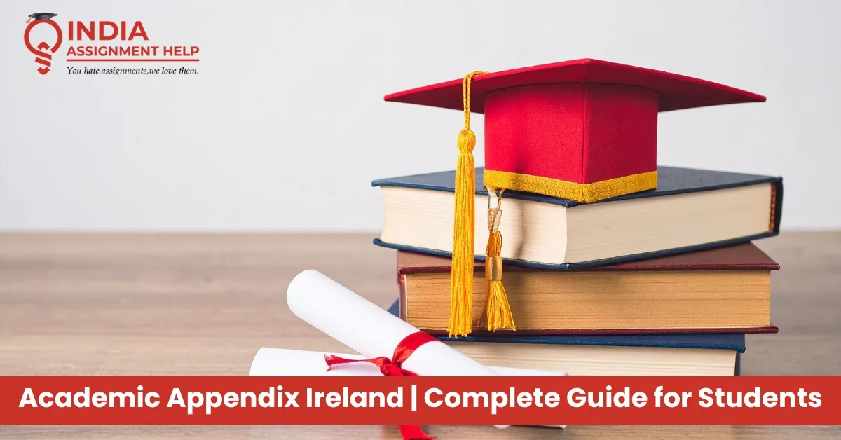 Academic Appendix Ireland: A Complete Guide for Students