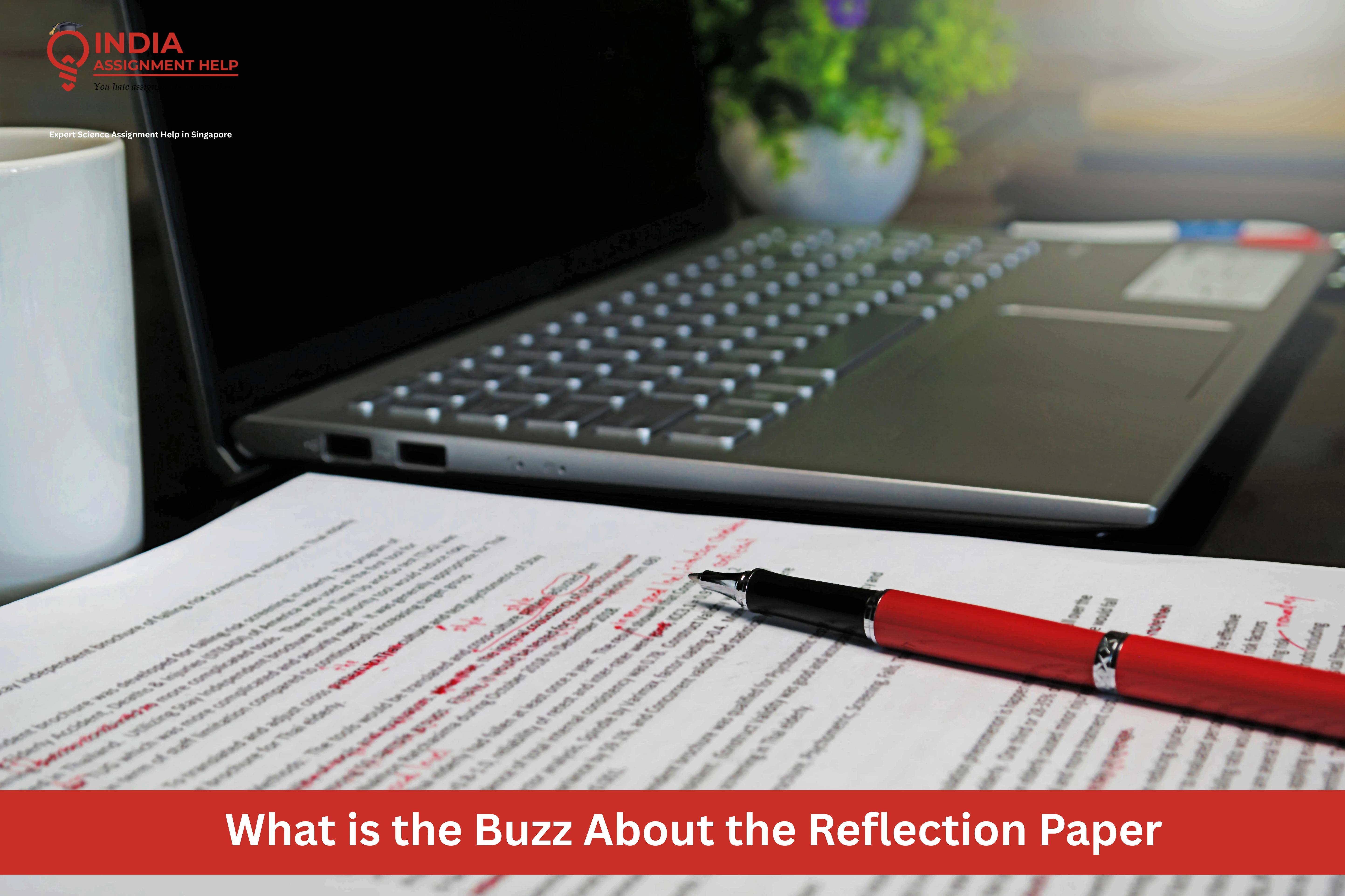 What is the Buzz About the Reflection Paper