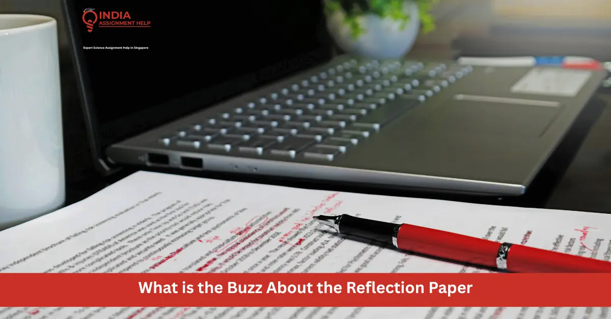 What is the Buzz About the Reflection Paper