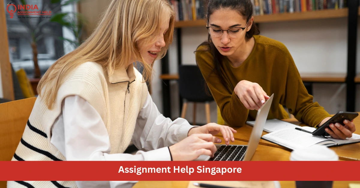 This is Your Wish Come True for Using Assignment Help in Singapore Wisely