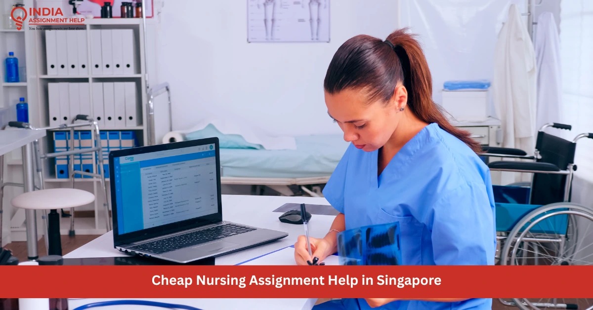 Short on Money? Now You Can Get Cheap Nursing Assignment Writing Help