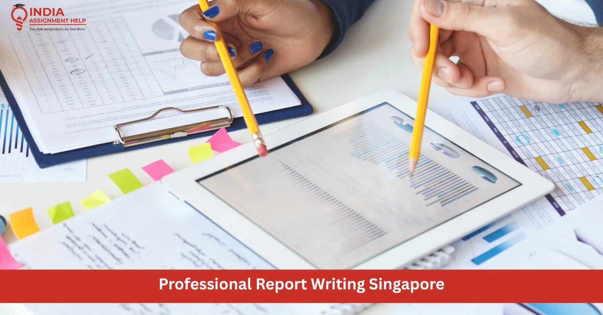 Mastering Report Writing: A Student's Guide in Singapore