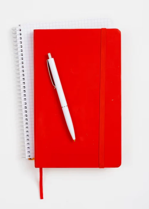 The Red Notebook