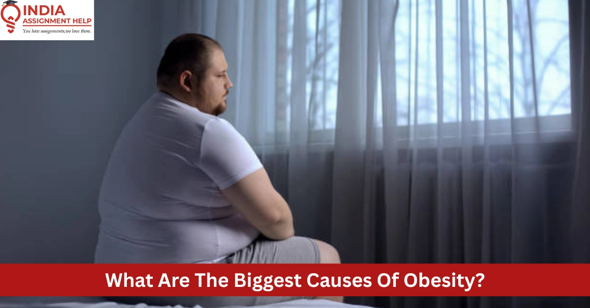 Primary Causes Of Obesity And How To Prevent Obesity With Simple Steps