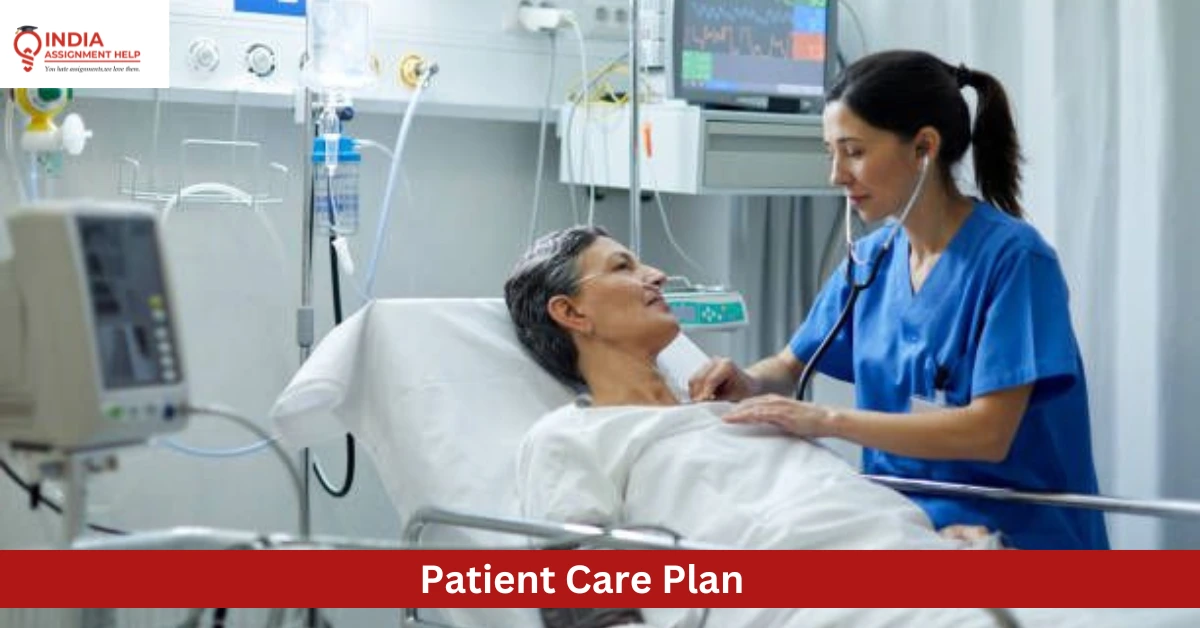 Guide to Writing a Perfect Patient Care Plan